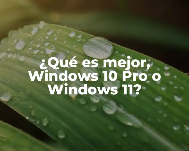 ¿Qué es mejor, Windows 10 Pro o Windows 11?