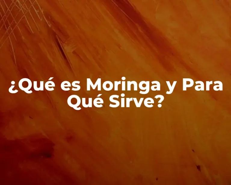 ¿Qué es Moringa y Para Qué Sirve?