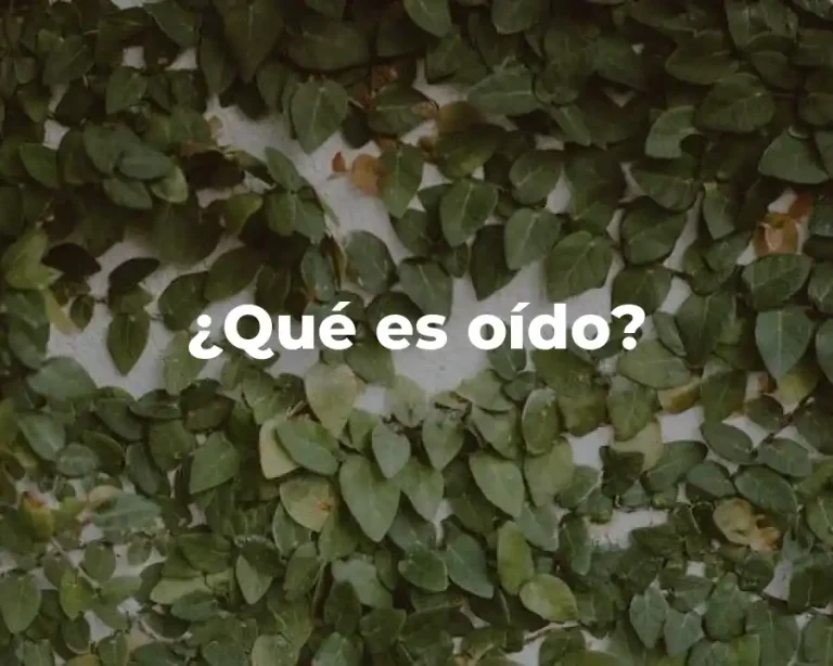 ¿Qué es oído?