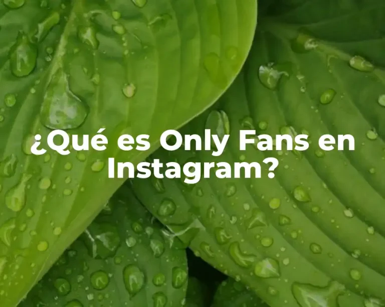 ¿Qué es Only Fans en Instagram?