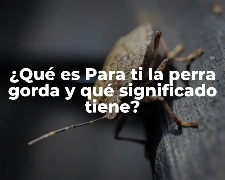 ¿Qué es Para ti la perra gorda y qué significado tiene?