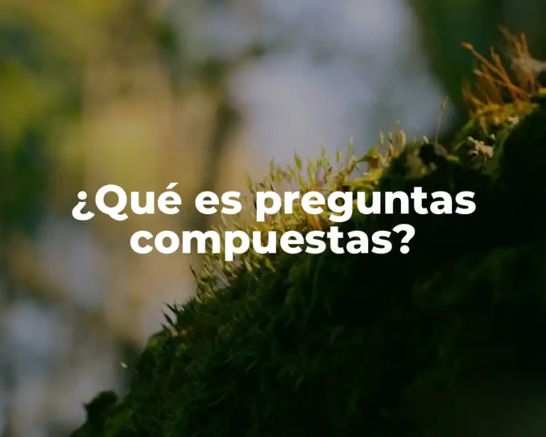 ¿Qué es preguntas compuestas?