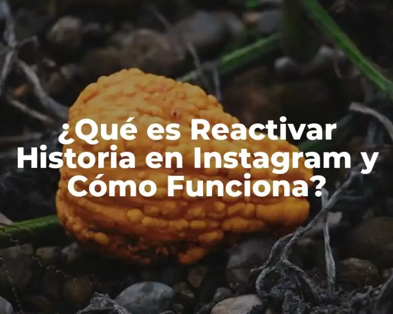 ¿Qué es Reactivar Historia en Instagram y Cómo Funciona?