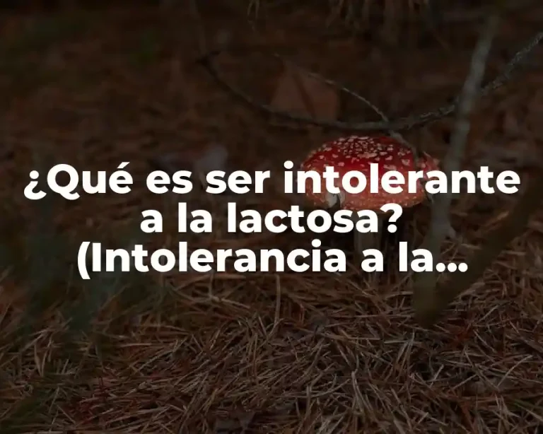 ¿Qué es ser intolerante a la lactosa? (Intolerancia a la lactosa