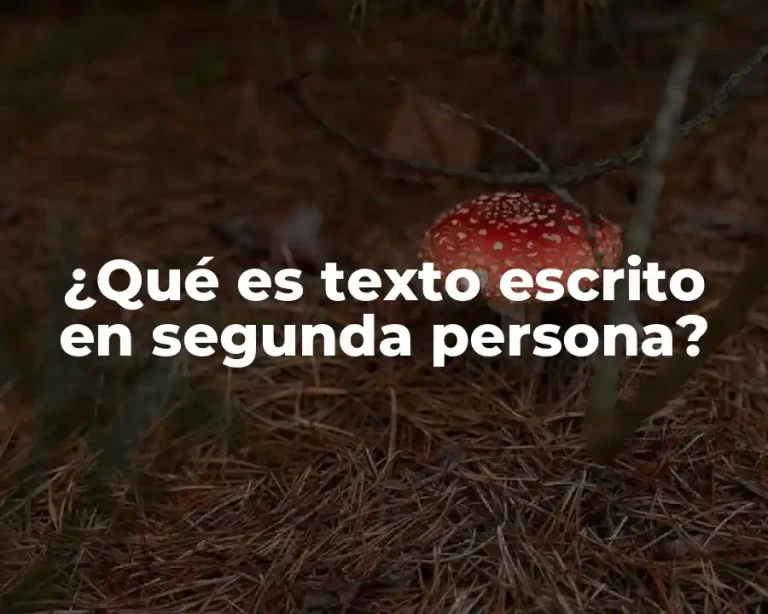 ¿Qué es texto escrito en segunda persona?