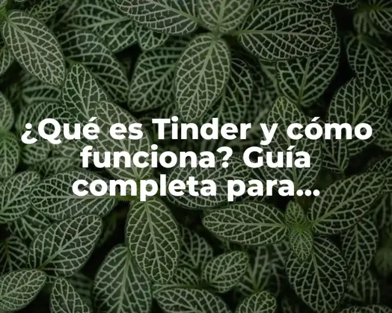 ¿Qué es Tinder y cómo funciona? Guía completa para principiantes