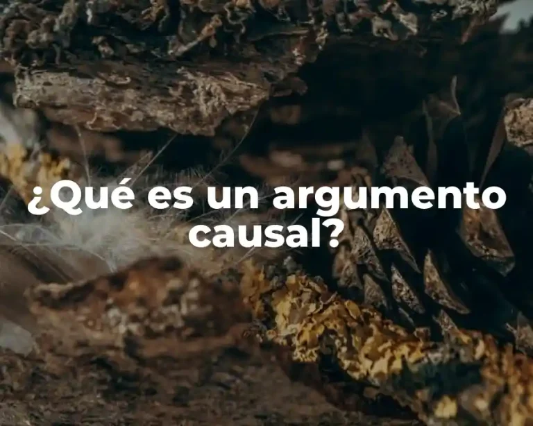 ¿Qué es un argumento causal?