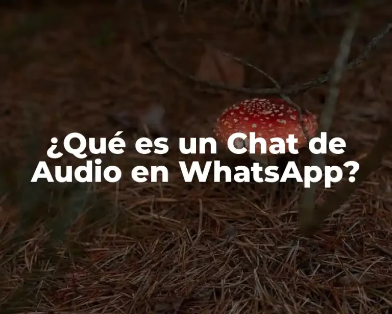 ¿Qué es un Chat de Audio en WhatsApp?