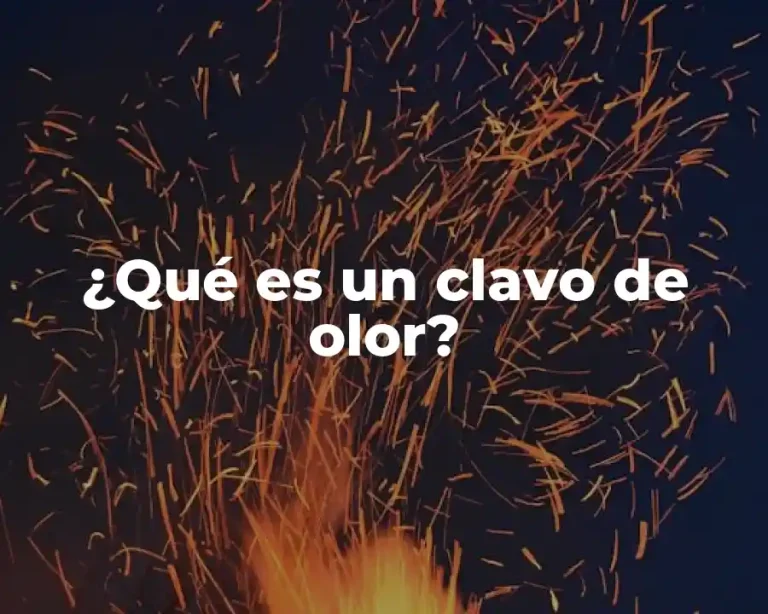 ¿Qué es un clavo de olor?