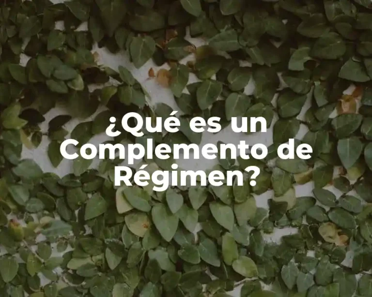 ¿Qué es un Complemento de Régimen?