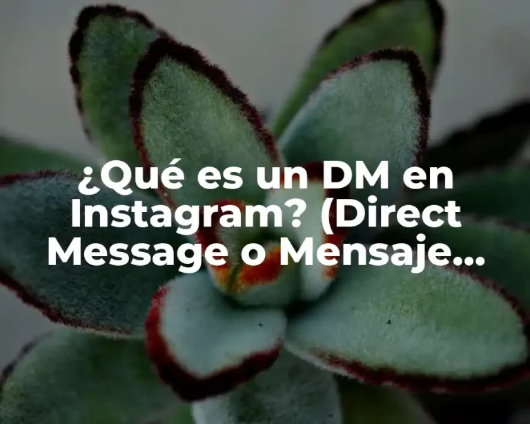 ¿Qué es un DM en Instagram? (Direct Message o Mensaje Directo)