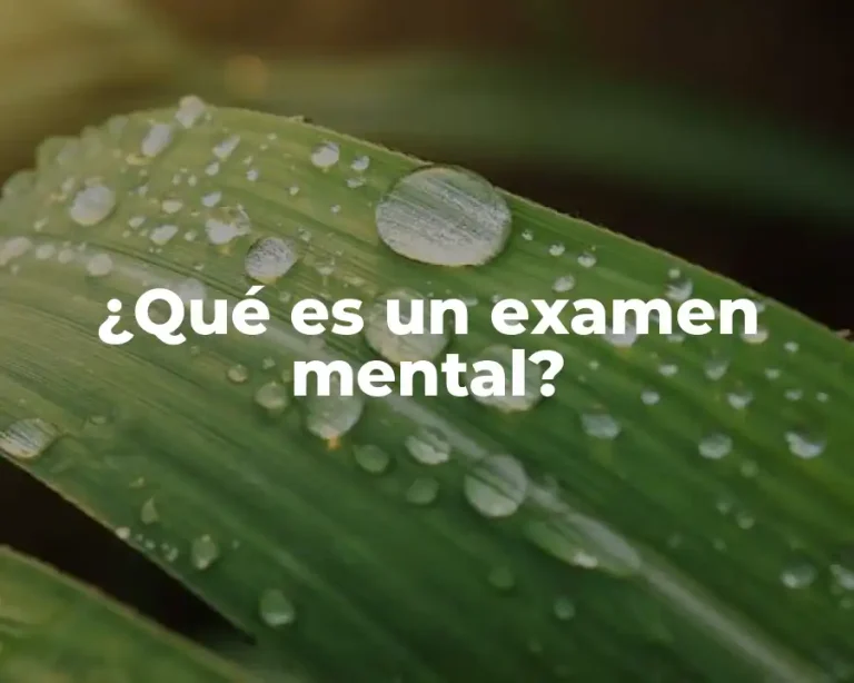 ¿Qué es un examen mental?