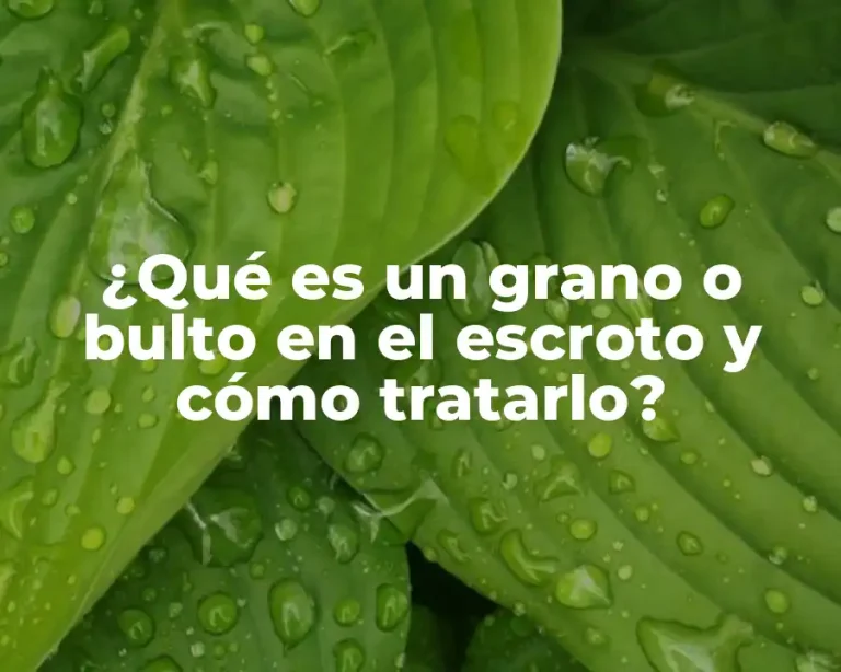 ¿Qué es un grano o bulto en el escroto y cómo tratarlo?