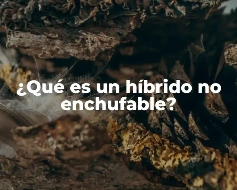 ¿Qué es un híbrido no enchufable?