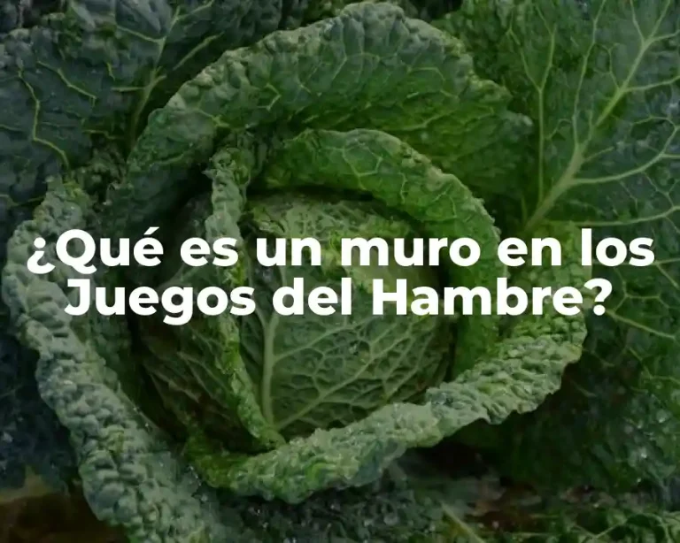 ¿Qué es un muro en los Juegos del Hambre?