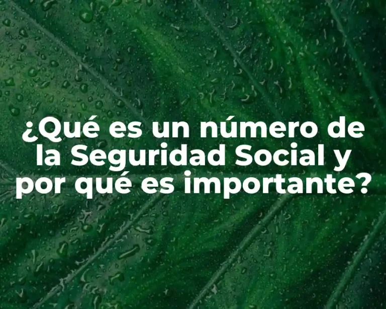 ¿Qué es un número de la Seguridad Social y por qué es importante?