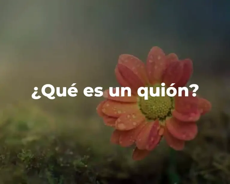 ¿Qué es un quión?
