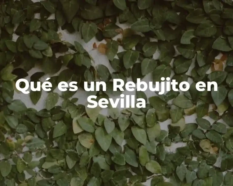 Qué es un Rebujito en Sevilla