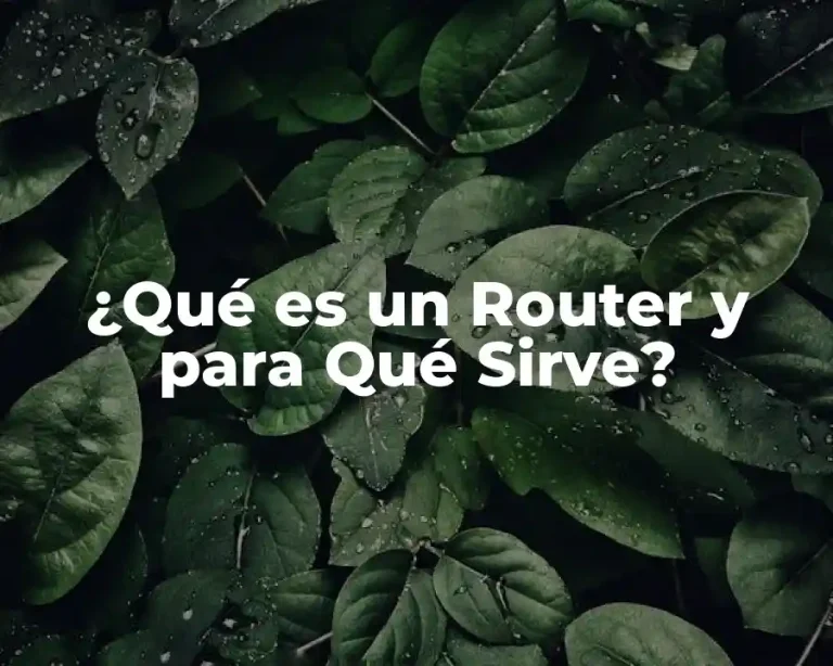 ¿Qué es un Router y para Qué Sirve?