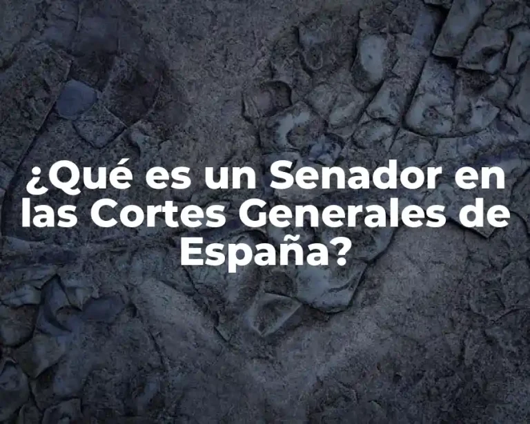 ¿Qué es un Senador en las Cortes Generales de España?