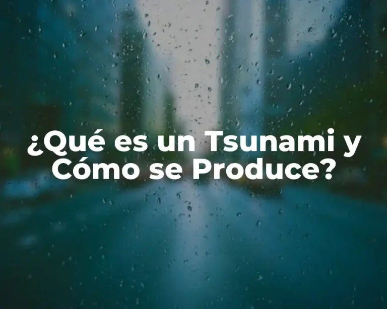 ¿Qué es un Tsunami y Cómo se Produce?