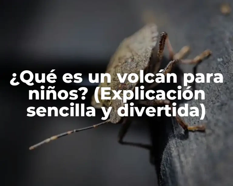 ¿Qué es un volcán para niños? (Explicación sencilla y divertida)