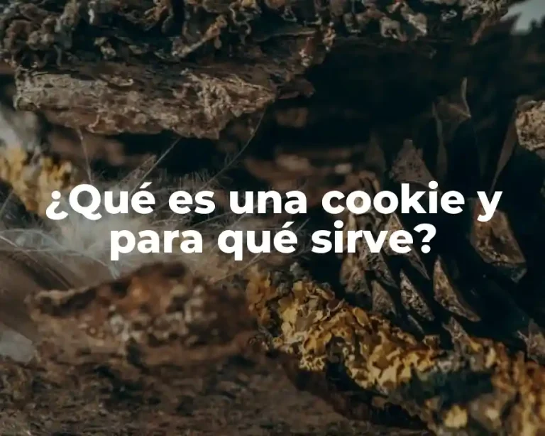 ¿Qué es una cookie y para qué sirve?