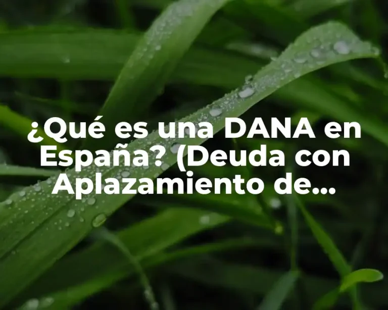 ¿Qué es una DANA en España? (Deuda con Aplazamiento de Notificación Automática)