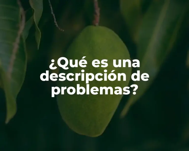 ¿Qué es una descripción de problemas?