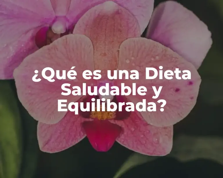 ¿Qué es una Dieta Saludable y Equilibrada?