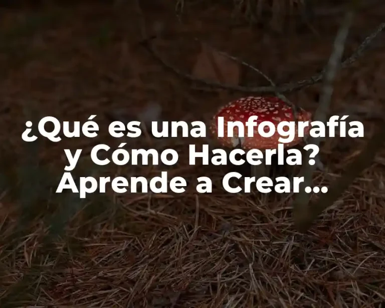 ¿Qué es una Infografía y Cómo Hacerla? Aprende a Crear Contenido Visual Atractivo