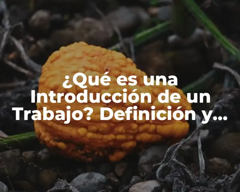 ¿Qué es una Introducción de un Trabajo? Definición y Ejemplos
