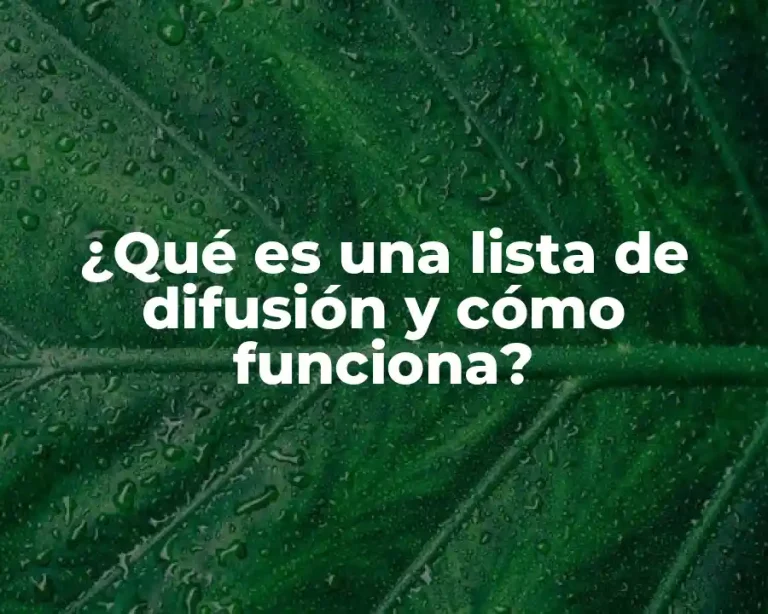 ¿Qué es una lista de difusión y cómo funciona?