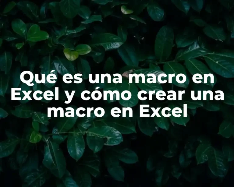 Qué es una macro en Excel y cómo crear una macro en Excel