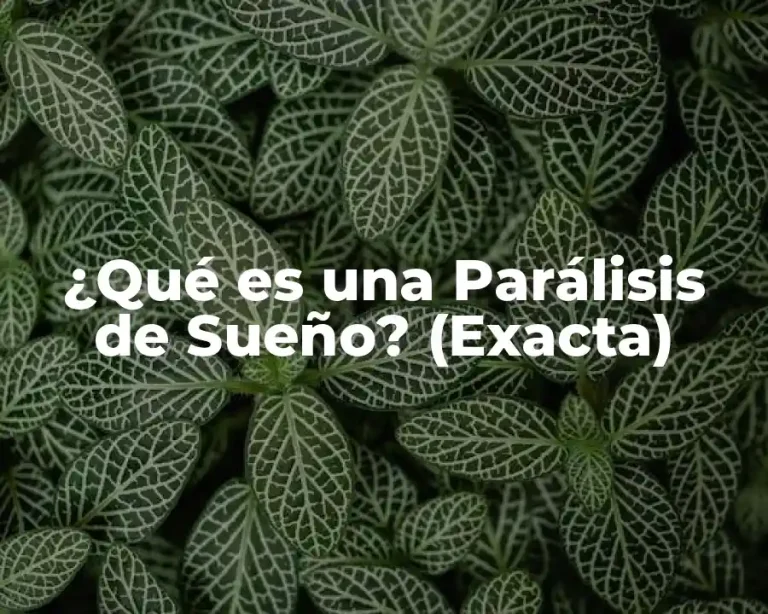 ¿Qué es una Parálisis de Sueño? (Exacta)