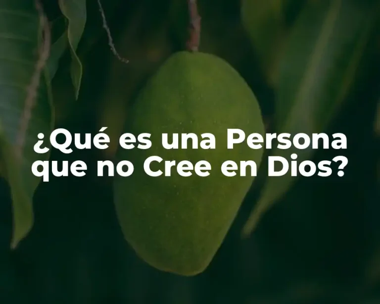¿Qué es una Persona que no Cree en Dios?