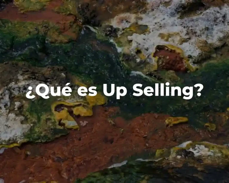 ¿Qué es Up Selling?