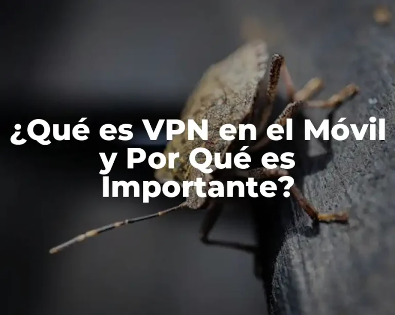 ¿Qué es VPN en el Móvil y Por Qué es Importante?