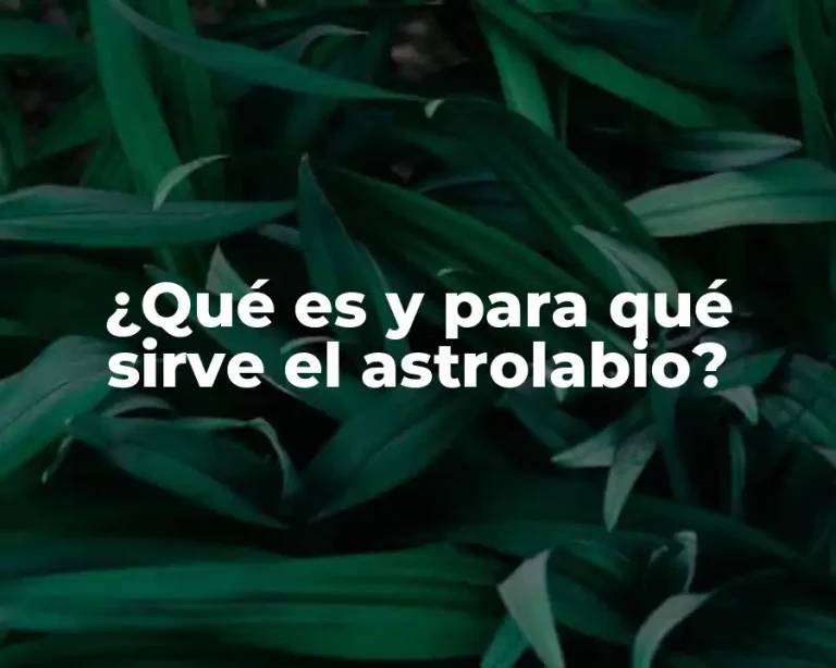 ¿Qué es y para qué sirve el astrolabio?
