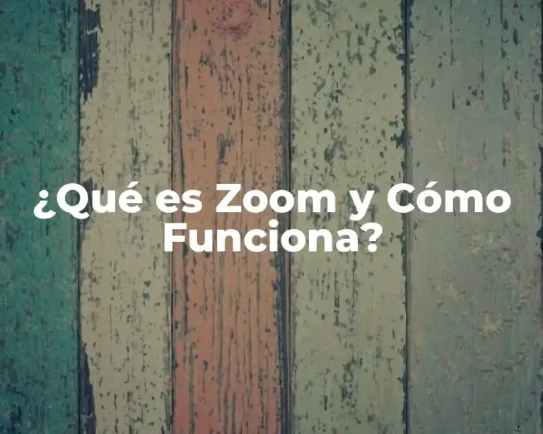 ¿Qué es Zoom y Cómo Funciona?