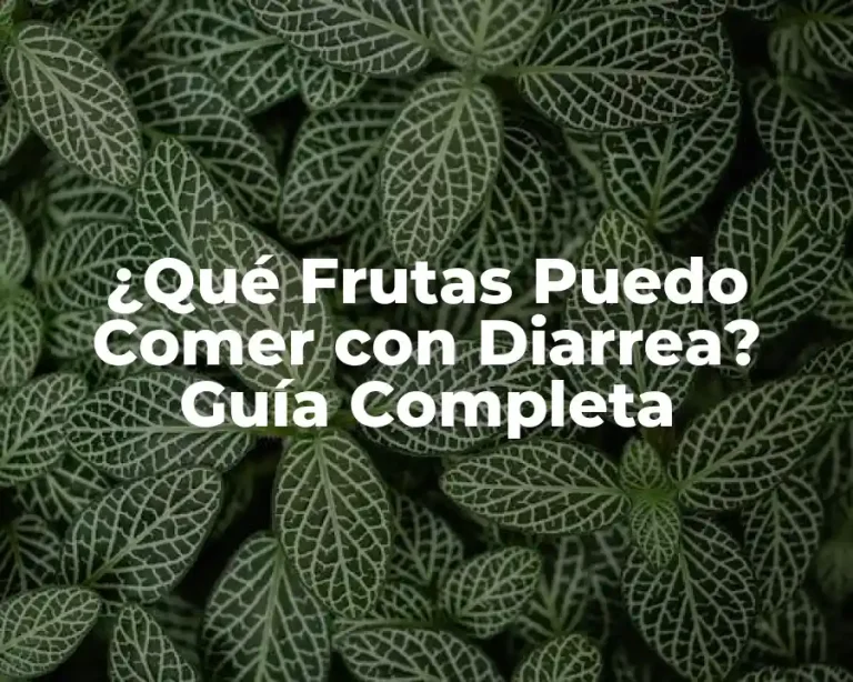 ¿Qué Frutas Puedo Comer con Diarrea? Guía Completa