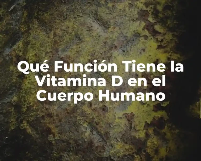 Qué Función Tiene la Vitamina D en el Cuerpo Humano