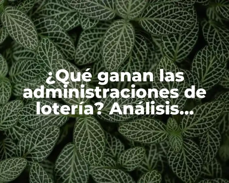 ¿Qué ganan las administraciones de lotería? Análisis detallado de los ingresos