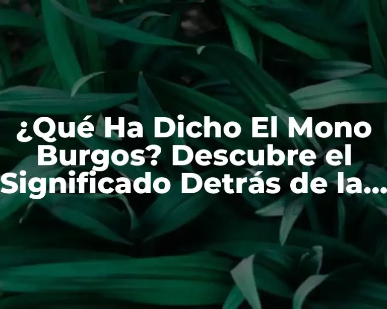 ¿Qué Ha Dicho El Mono Burgos? Descubre el Significado Detrás de la Frase