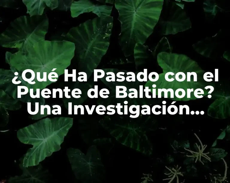 ¿Qué Ha Pasado con el Puente de Baltimore? Una Investigación Completa