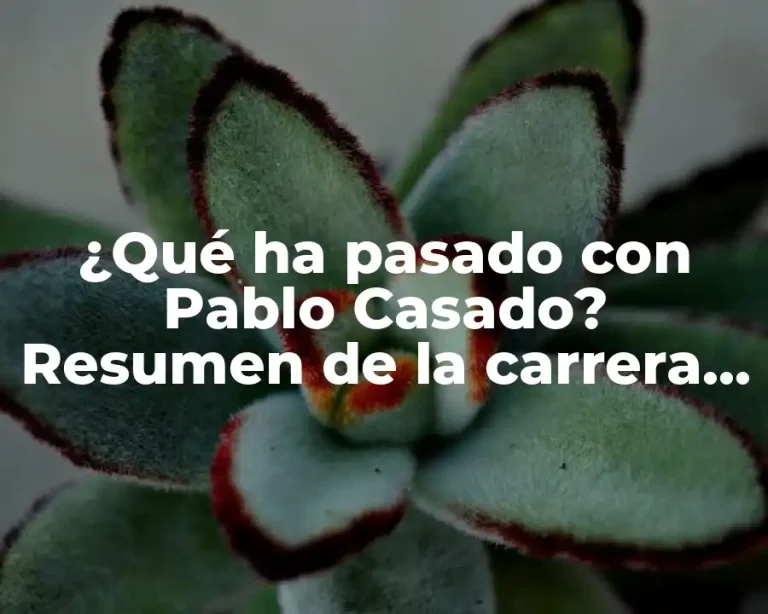 ¿Qué ha pasado con Pablo Casado? Resumen de la carrera política del líder del PP
