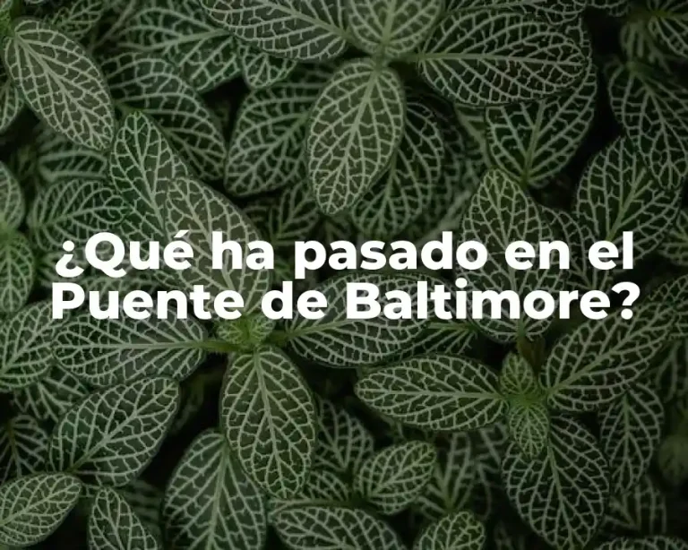 ¿Qué ha pasado en el Puente de Baltimore?