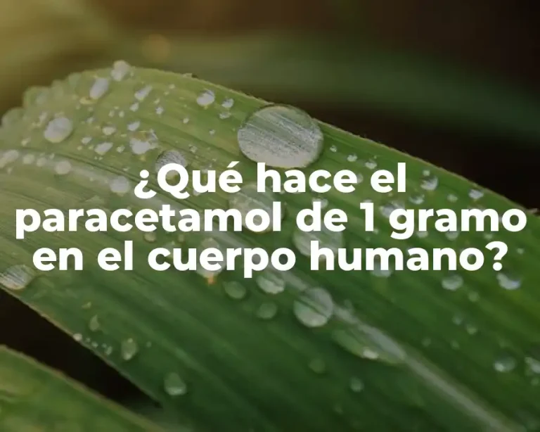 ¿Qué hace el paracetamol de 1 gramo en el cuerpo humano?