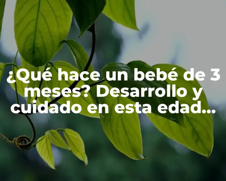 ¿Qué hace un bebé de 3 meses? Desarrollo y cuidado en esta edad crítica
