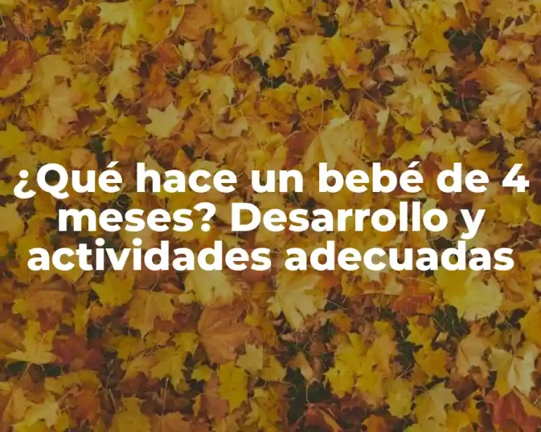 ¿Qué hace un bebé de 4 meses? Desarrollo y actividades adecuadas